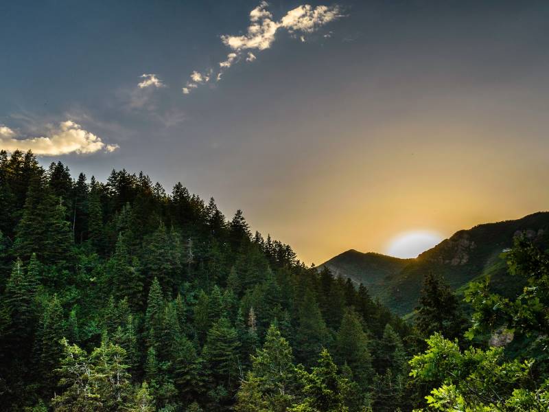 A la découverte de la nature